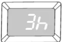 3h
