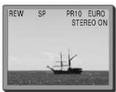 SEG VCR5360B - On Screen Display - 2