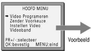 SEG VCR4350 - On Screen Display - 2