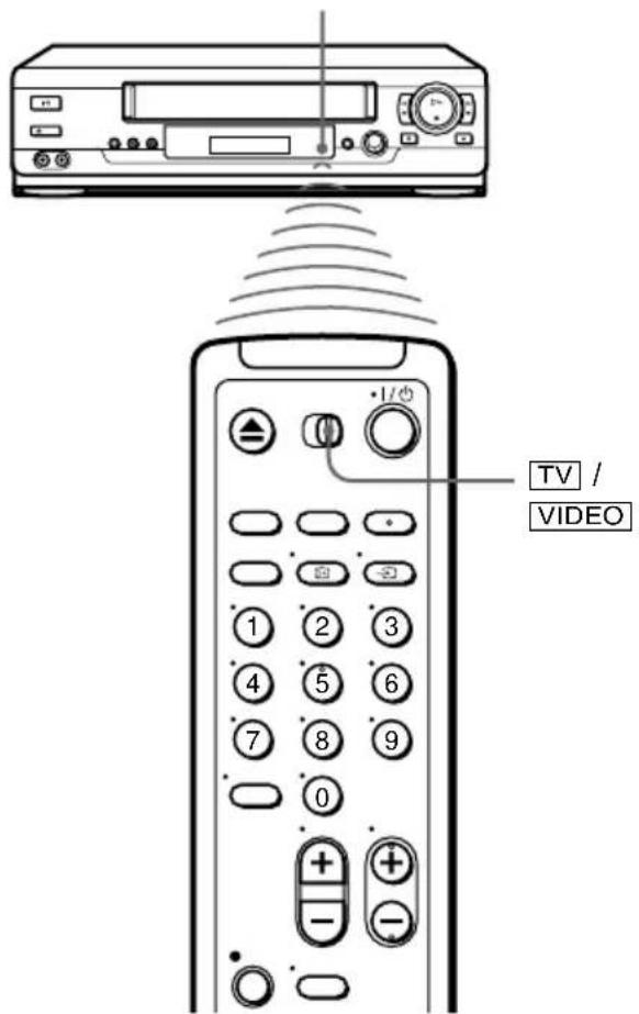 TV / VIDEO