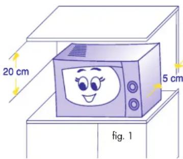 20 cm 5 cm fig. 1