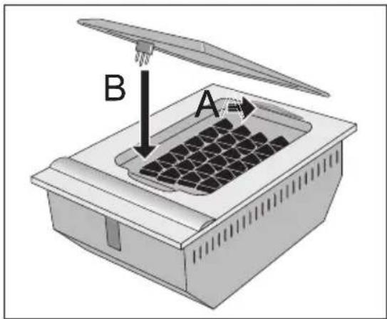 A B