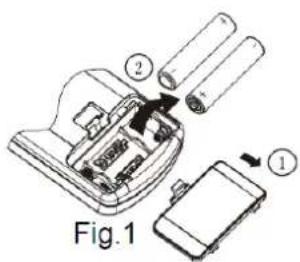 Fig.1