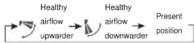 HAIER AS09TA2HRA - Timer On/Off On-Off Werking - 2