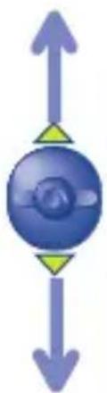 ALCATEL One Touch 30X - - VALUTAKEUZE - 1