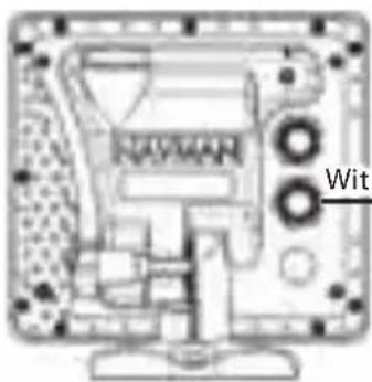 Wit