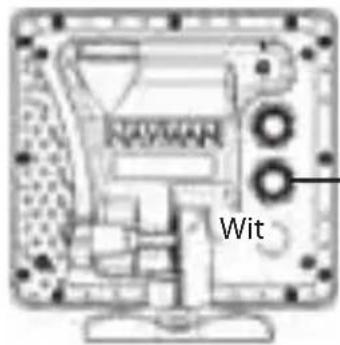Wit