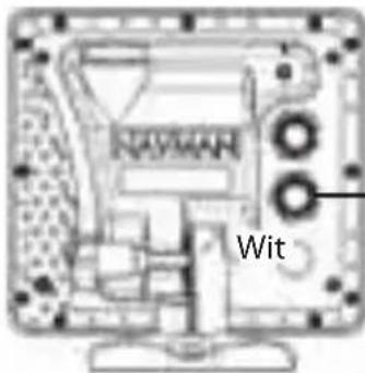 Wit