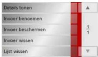 Details tonen Invoer benoemen Invoer beschermen Invoer wissen Lijst wissen