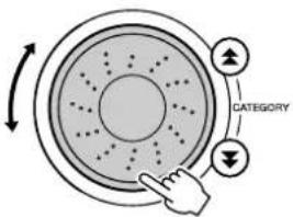 CATEGORY