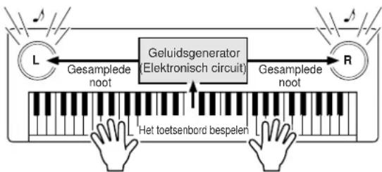 graph LR L[" L "] -->|Gesamplede noot| G[" Geluidsgenerator (Elektronisch circuit) "] G -->|Gesamplede noot| R[" R "] R -->|Gesamplede noot| L L -->|Hets toetsenbord bespelen| G