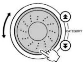 CATEGORY