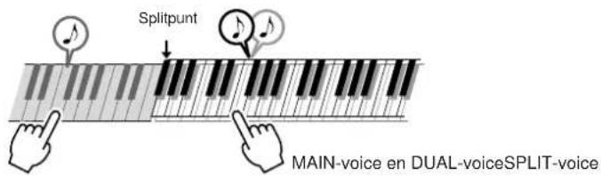 Splitpunt MAIN-voice en DUAL-voiceSPLIT-voice