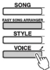 SONG EASY SONG ARRANGER STYLE VOICE