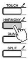 YAMAHA Portatone PSR-293 - OPMERKING - 1