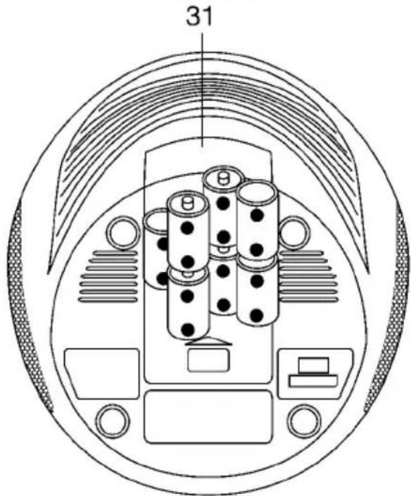 31