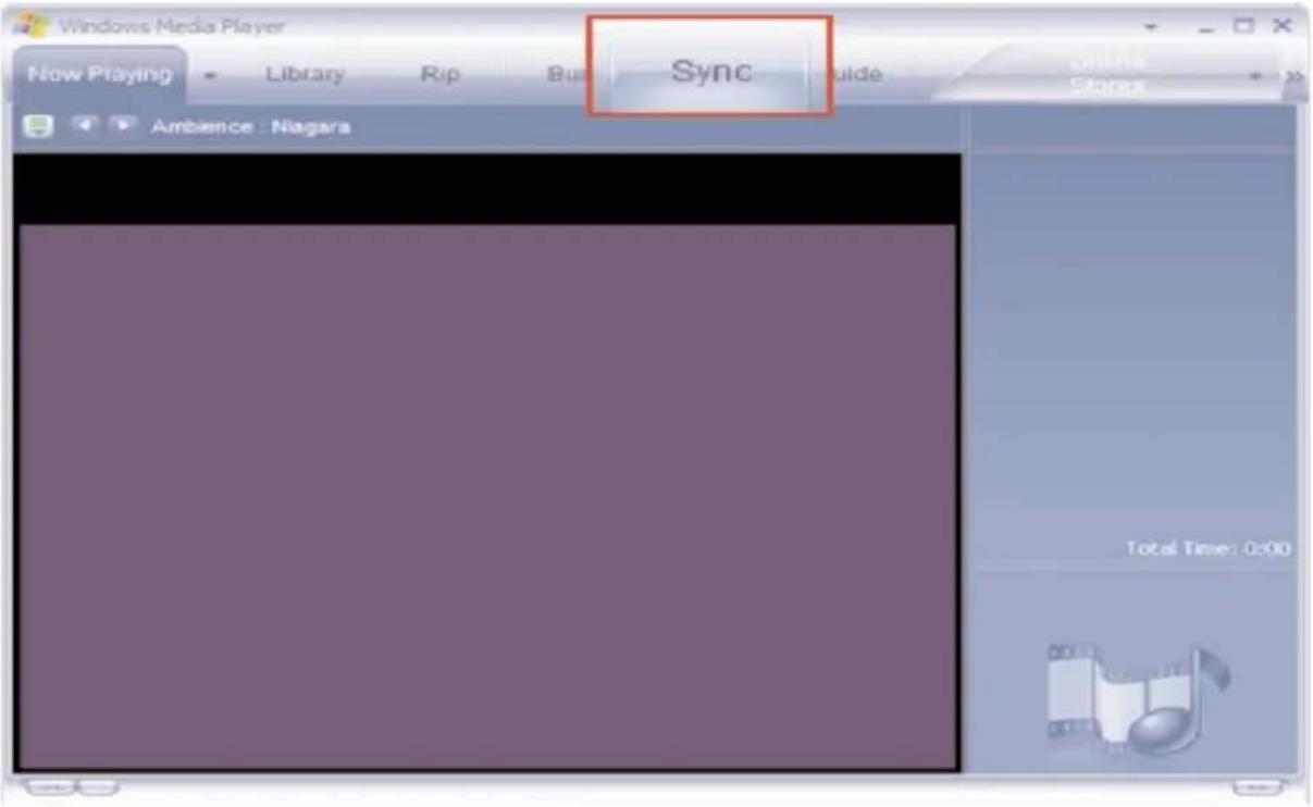 Windows Media Player Now Playing Library Rip Bun Sync Guide Online Stores Ambience Niagara Total Time: 0:00