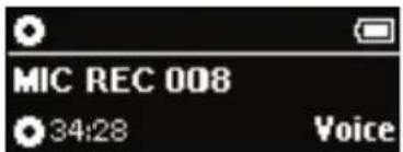 MIC REC 008 34:28 Voice