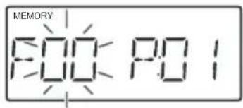 MEMORY F00: P0 1