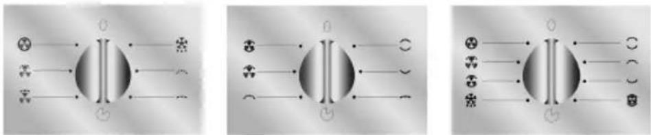 Three identical diagrams showing a central vertical structure with surrounding symbols and lines, no text or labels present.