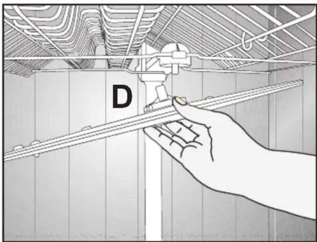 D