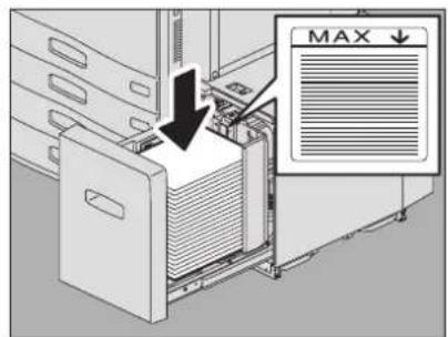 MAX ↓