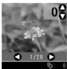 EPSON Stylus DX6000 - Opmerking: - 1
