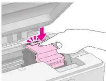 EPSON Stylus DX6000 - Let op: - 1