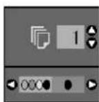 EPSON Stylus DX6000 - Display - 1