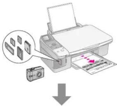 EPSON Stylus DX6000 - Foto's selecteren en afdrukken met behulp van een index - 1