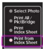 EPSON Stylus CX5900 - Index scannen en geselecteerde foto's afdrukken - 3