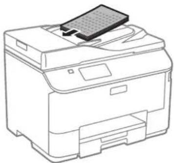 EPSON WorkForce Pro WF-4640DTWF - Papier en afdrukmateriaal gebruiken - 3