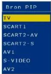 Bron PIP TV SCART1 SCART2-AV SCART2-S AV1 S-VIDEO AV2