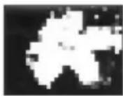 SONY CCD-TRV238 - B EFFECT - 6