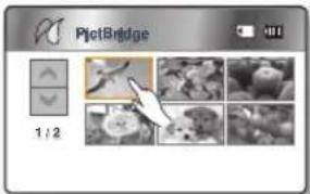 PilotBridge 1 / 2