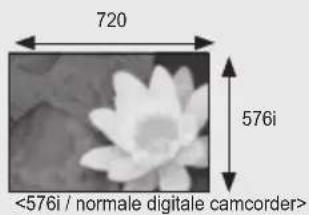 720 576i <576i / normale digitale camcorder>