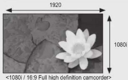 1920 1080i <1080i / 16:9 Full high definition camcorder>