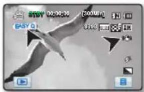 STAY 00:00:00 [300Min] EASY Q 9999