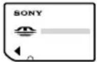 SONY HDR-CX505 - Een "Memory Stick PRO Duo" plaatsen - 1
