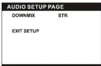 Autovision DPX3270S - AUDIO SETUP - 1