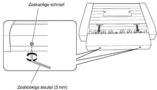 Zeskantige schroef Zeshoekige sloutel (3 mm)