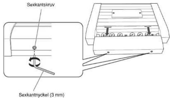 Sexkantskruv Sexkantnyckel (3 mm)