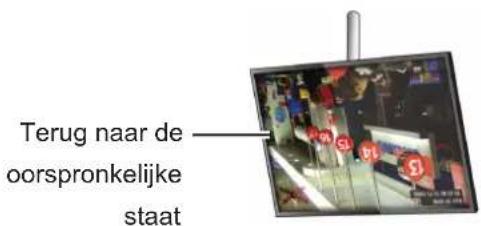 Terug naar de oorspronkelijke staat