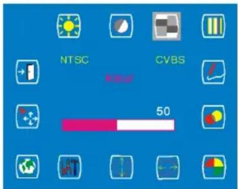 NTSC CVBS 50