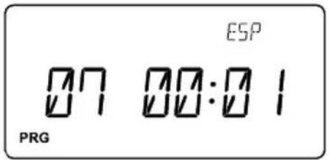 ESP 07 00:01 PRG