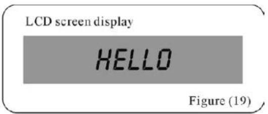 LCD screen display HELLO Figure (19)