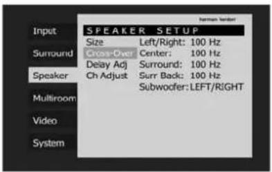 Input SPEAKER SETUP Size Left/Right: 100 Hz Surround Cross-Over Center: 100 Hz Delay Adj Surround: 100 Hz Speaker Ch Adjust Surr Back: 100 Hz Subwoofer: LEFT/RIGHT Multiroom Video System