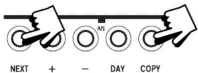 NEXT + - DAY COPY