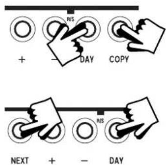 RIS + - DAY COPY NEXT + - RIS DAY