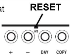 RESET + - DAY COPY